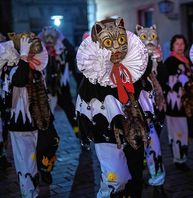 Bild 4: Die schönsten Bilder der Narrenmuttersuche der Katzenzunft in Meßkirch