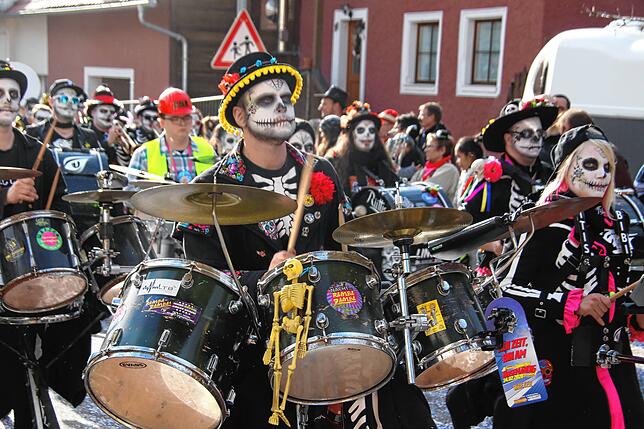 Bild 31: Bilder zum Narrentreffen in Schwerzen (2)