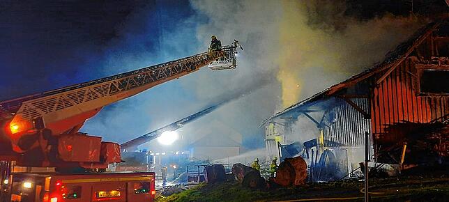 Bild 4: Großeinsatz beim Brand in Dettighofen – das sind Bilder