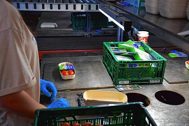 Eine Mitarbeiterin verpackt die frisch gepflückten Tomaten in Pappkartons, die dann in den Handel gehen.