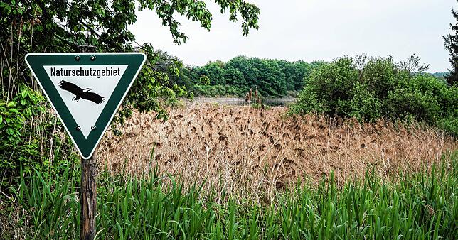 Das Naturschutzgebiet Hagstaffelweiher liegt auf der Gemarkung Dettingen. Der Angelsportverein Konstanz pflegt das Biotop. Für seltene ...