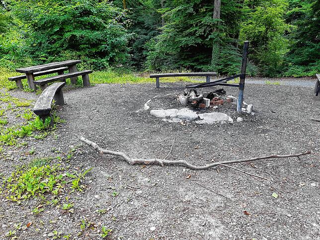Ab sofort ist hier das Grillen verboten: Die Grillstelle am Vitibuckturm in Tiengen ist von Waldflächen umgeben.