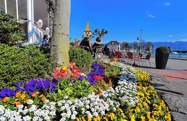 Bunte Blumen ziehen sich über den Uferweg im bayerischen Lindau am Bodensee.