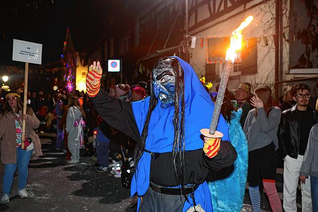 Bild 10: Nachtumzug Möggingen 2025: Fasnacht in Bildern – 30 Gruppen in voller Pracht