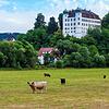 Die Gerüchte um eine illegale Corona-Party in einer Gaststätte in Mühlheim sind falsch, informiert die Polizei Tuttlingen am ...
