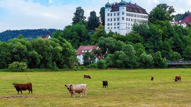 Die Gerüchte um eine illegale Corona-Party in einer Gaststätte in Mühlheim sind falsch, informiert die Polizei Tuttlingen am ...