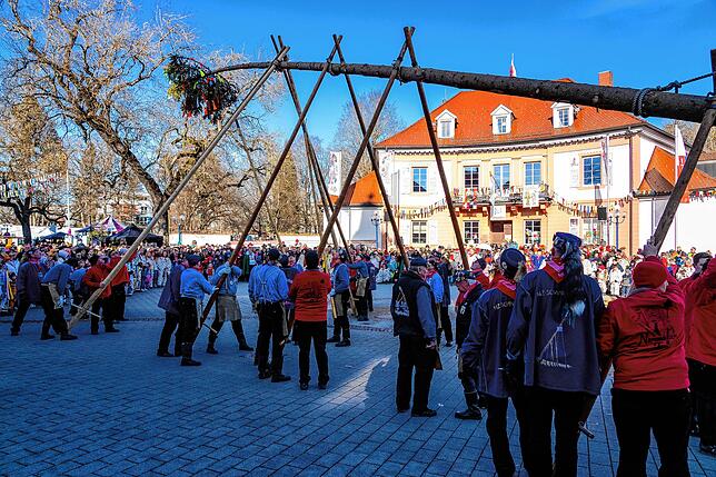 Bild 14: So wird der Narrenbaum am Samstag beim Narrentreffen in Bad Dürrheim aufgestellt!
