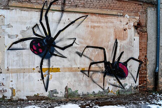 Graffiti-Kunst aud den ehemaligen Fabrikgebäuden von SABA in Villingen.