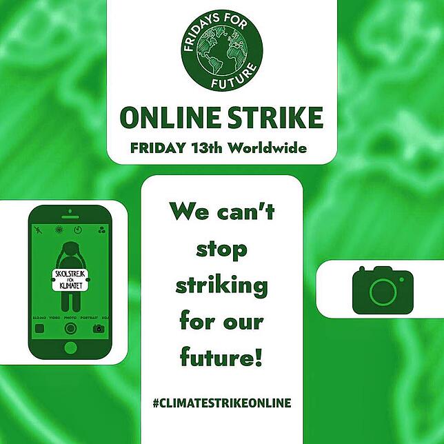 Bild 2: #climatestrikeonline: Fridays for Future verlagert Streiks ins Internet &ndash; auch Gruppierung aus Villingen-Schwenningen will Verantwortung übernehmen