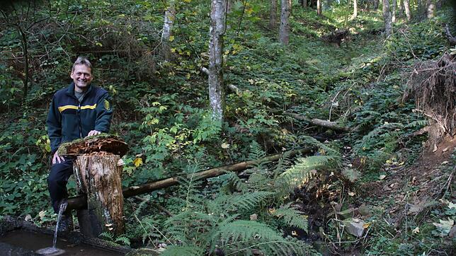 Auch das gibt es im Bannwald bei Höchenschwand: ein Brunnen aus einem Holzstamm geformt. Dahinter, davor, links und rechts lässt man der ...