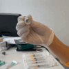 Vom Pharmaversand, über die Apotheke, zum Hausarzt: So funktioniert der Weg vom Transporter bis in die Impfspritze.