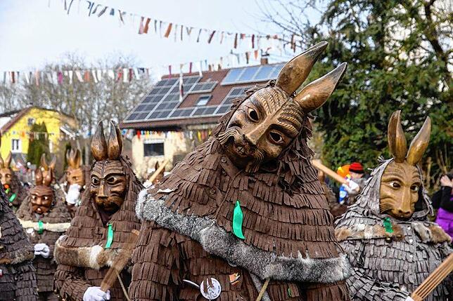 Bild 30: Narrenverein Heuliecher: Die besten Bilder aus dem Jubiläumsumzug