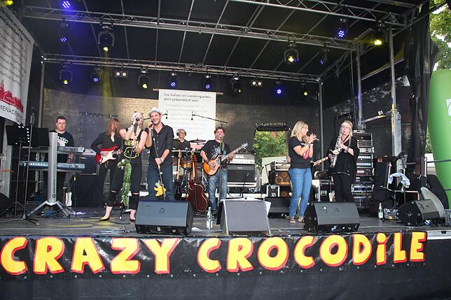 Bild 3: Bilder vom Überlinger Promenadenfest