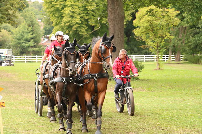Bild 24: Bilder vom Marathon der Vierspänner beim Reitturnier in Donaueschingen
