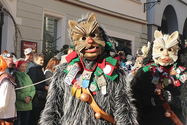 Die Katzenzunft aus Kippenhausen mit ihren schönen Masken.