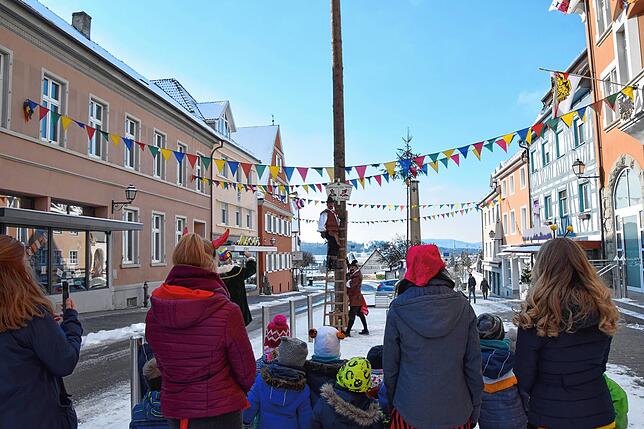 Bild 9: Bilder von der Narrenbaumaktion der Stockacher Zimmerergilde am Schmotzigen Dunschtig: Jetzt ist der Baum der Stammbaum aller Narren