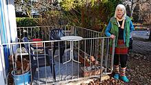 Ziemlich kahl: Am Balkon von Ursula Wolschendorf in der Jungerhalde in Allmannsdorf rankte einst schöner Blauregen. Davon ist jetzt nur ...