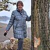 Die Konstanzerin Sylvia Schnitzius hat beim Gassigehen mit ihrem Hund Lucky schon den Biberbiss an der Pappel entdeckt, noch bevor die ...
