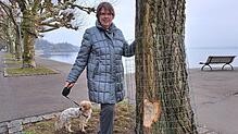 Die Konstanzerin Sylvia Schnitzius hat beim Gassigehen mit ihrem Hund Lucky schon den Biberbiss an der Pappel entdeckt, noch bevor die ...