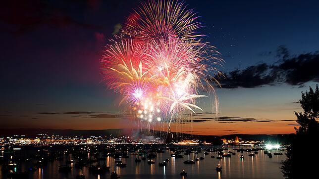 Bild : Jetzt steht es fest: 2020 wird es erneut ein Seenachtfest-Feuerwerk geben