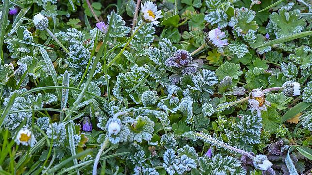 Der Deutsche Wetterdienst warnt vor einer frostigen Nacht. (Symbolbild)