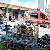 Bild :