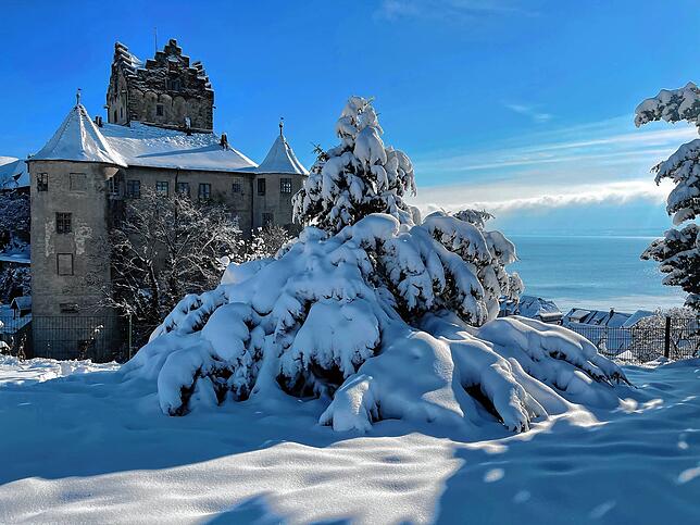 Bild 15: Immer noch überall Schnee: Der SÜDKURIER zeigt die schönsten Bilder der vergangenen Tage