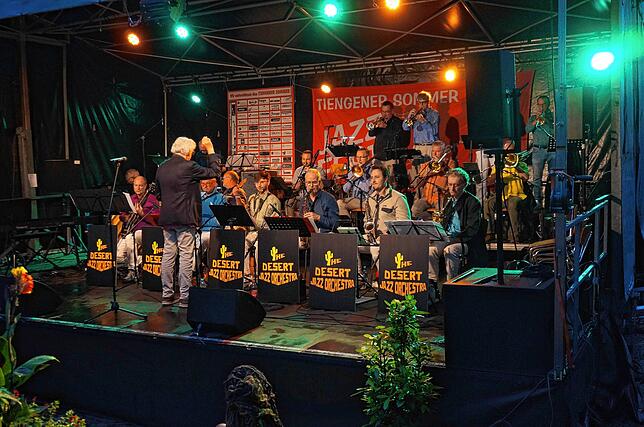 Bild 6: Hier sind die besten Bilder vom Jazzfest in Tiengen