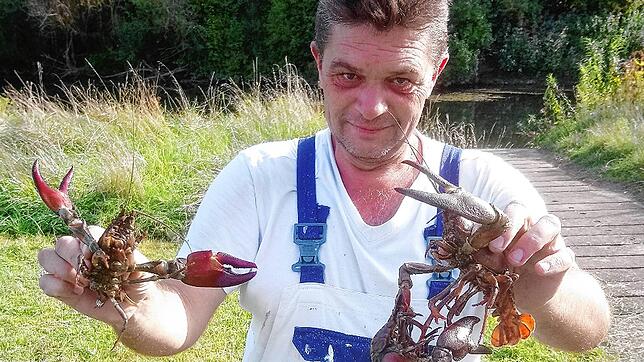 Angler Viktor Bienefeld mit Exemplaren des Signalkrebses. Immer wieder stößt er auf die Schalentiere, an diesem Tag war es einen halben ...