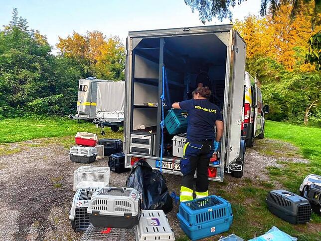 Abtransport der beschlagnahmten Katzen im Herbst des vergangenen Jahres.