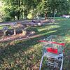 Unschöne Anblicke wie diese gibt es am Grillplatz in der Rheinau häufiger. Die Stadt droht jetzt mit Schließung der Anlage.