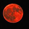 Leserreporter Michael Boos fotografierte Mittwochnacht den Mond von Meersburg aus.