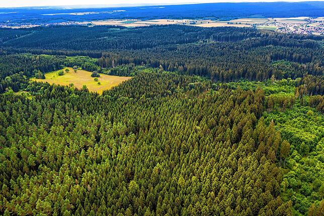 In diesem Waldgebiet – rechts oben Tannheim, die Lichtung ist das ehemalige Munitionsdepotlager, in dem sich im Kalten Krieg ...