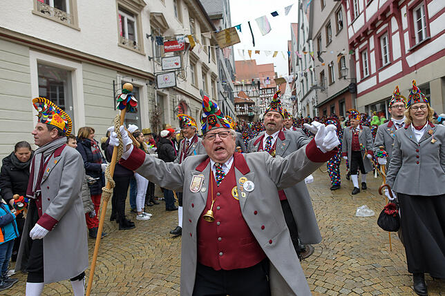 Bild 11: Tausende Hästräger und Musiker in Pfullendorf: Bilder vom Umzug (2)