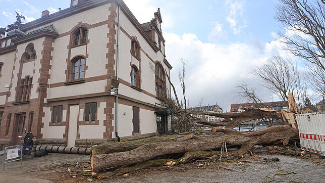 Sturm Sabine richtete am Constanzer Wirtshaus Schäden an.