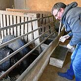 Zu Axel Philipps Hobbys gehört die Pflege der Tiere.