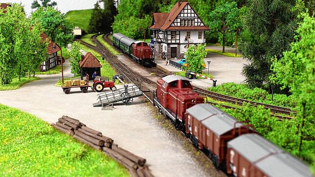 Rund 20 Aussteller kommen am Wochenende zu den Stettener Modellbahntagen und bringen ihre Züge mit. Bild: Thomas Buschle