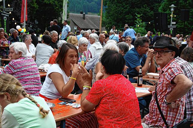 Bild 10: Bilder vom Lichterfest Todtmoos