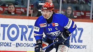 Für Kapitän Thomas Larkin hat die neue Wild Wings-Mannschaft mehr Spieler mit Führungsqualitäten und ist auch ausgeglichener.