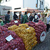 Bild :