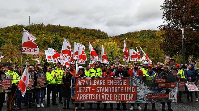 In Grenzach fordern Beschäftigte und die Gewerkschaft bezahlbare Energie für die Industrie, um den Industriestandort Deutschland vor ...