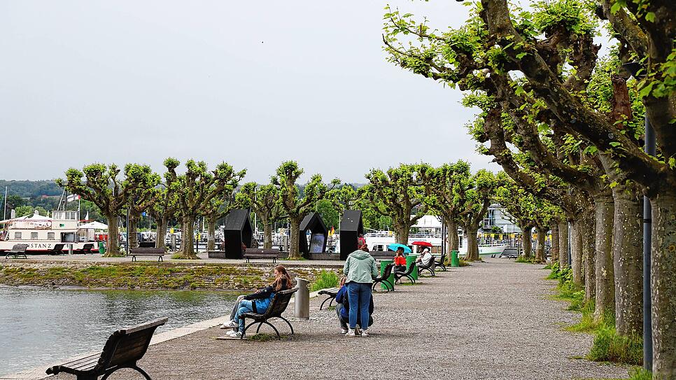 Der Stadtgarten in Konstanz: Hier kam es Anfang Juni zu einer Vergewaltigung.