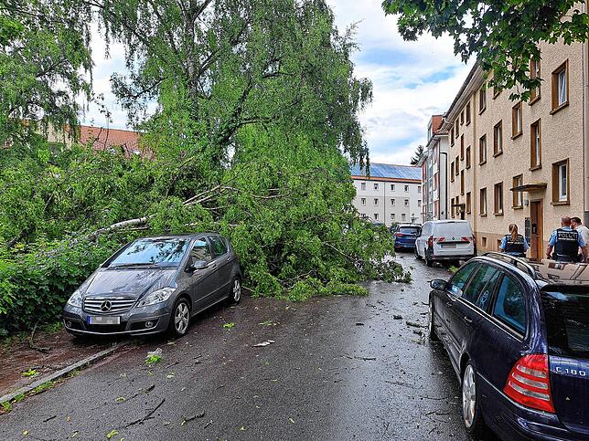 Der Besitzer dieses Wagens hat augenscheinlich noch Glück gehabt. Der fallende Baum hat den Wagen weitgehend verfehlt.