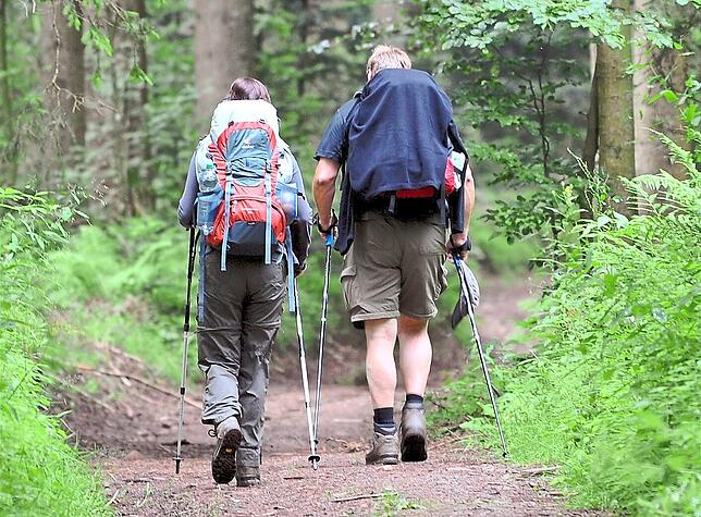 Einige wichtige Begleiter sollten Sie beim Wandern immer im Rucksack haben.
