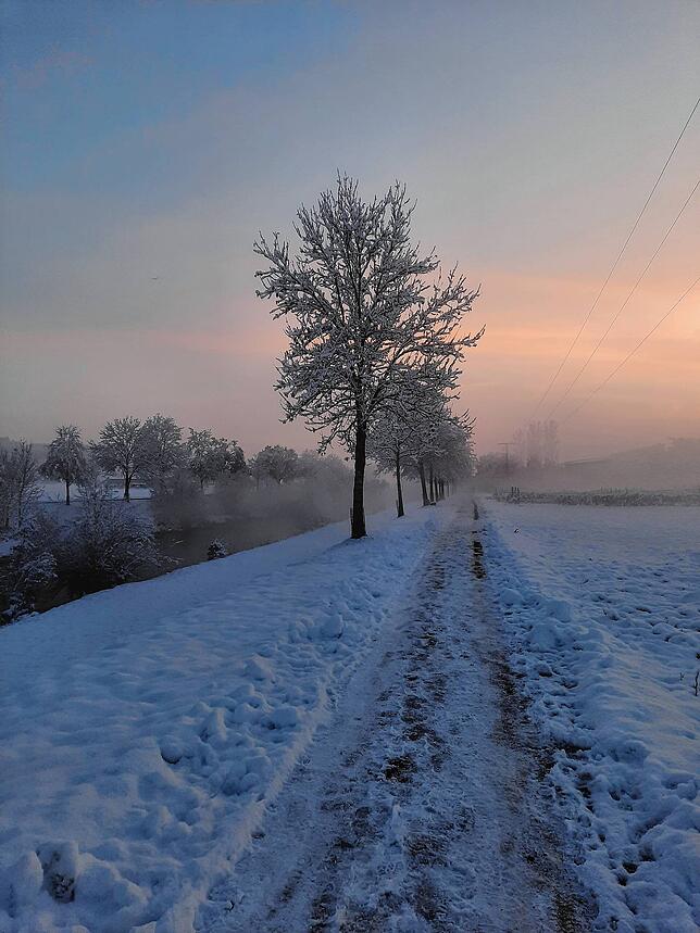 Die Sonne verabschiedet sich im Hintergrund von einem Bilderbuch-Wintertag in Horheim.