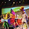 Prächtige Farben: Bunte Vielfalt herrscht in der Welt Immerwos.