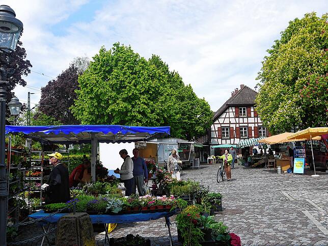 Jeden Donnertag von 8 bis 12 Uhr gibt es in Allensbach einen Markt.