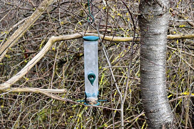 Illegal angebrachte Vogelfutterstellen können im Naturschutzgebiet Gifizenmoos bei Mönchweiler das Einbringen von fremden Pflanzen ...