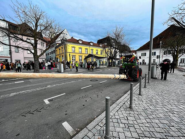 Bild 27: Die schönsten Bilder vom Überlinger Umzug mit Narrenbaum