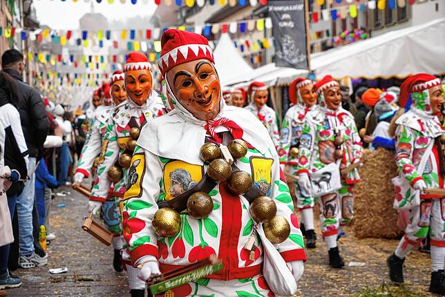 Bild 12: Narren, Kostüme und Stimmung: Die Highlights des Narrentreffens in Waldshut in Bildern